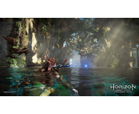Guerilla Games Horizon Forbidden West PS4 - 1464199 - zdjęcie 17